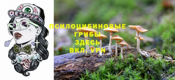 прущая мука Аркадак